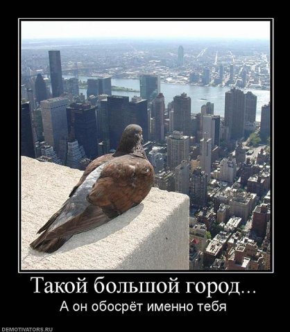 http://cs9324.vkontakte.ru/u4514870/100806074/x_056d97ac.jpg